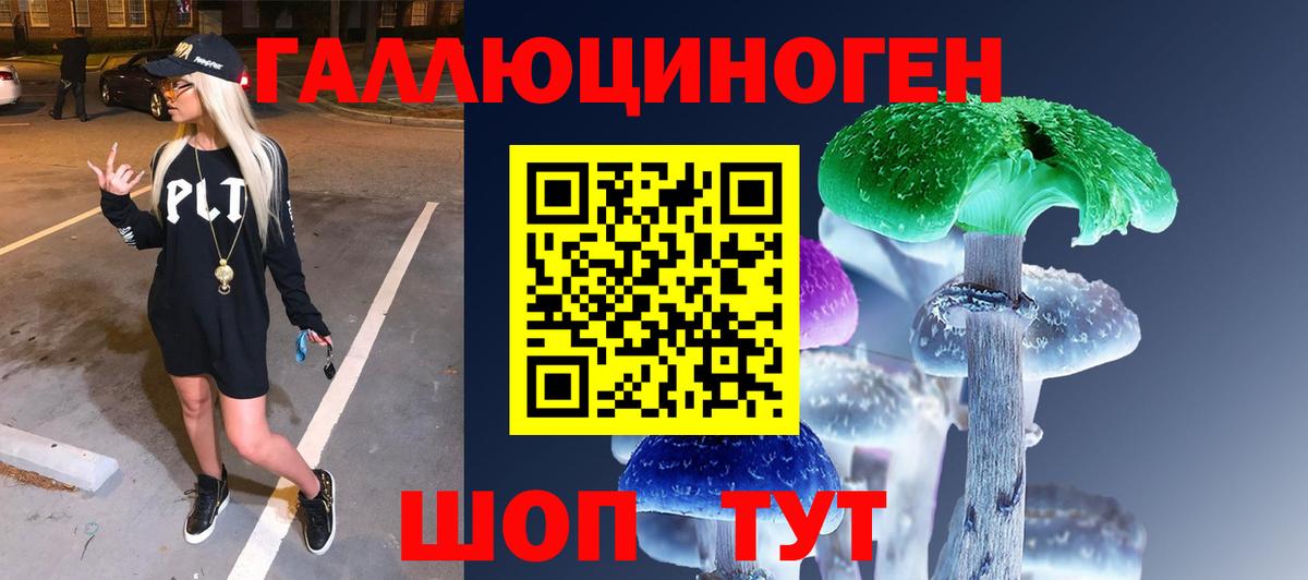 Псилоцибиновые грибы Psilocybine cubensis Полысаево