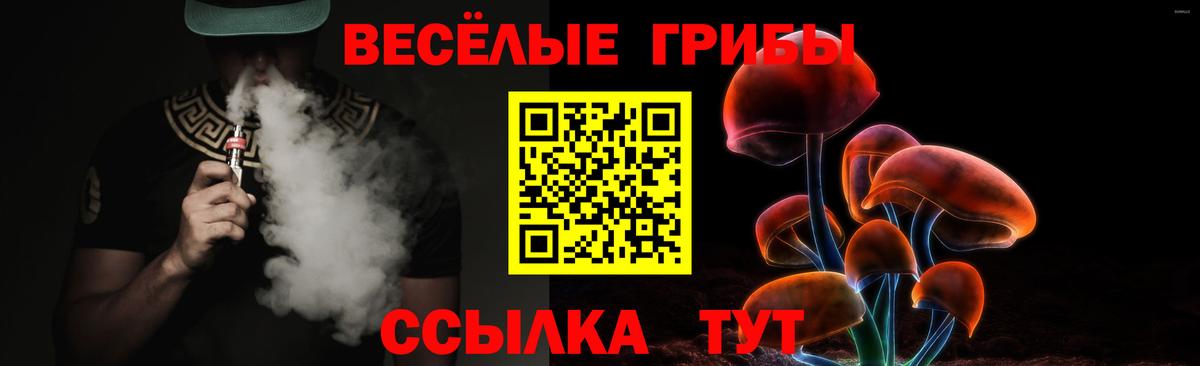 Псилоцибиновые грибы мухоморы  Вход с VPN  купить наркоту  Полысаево 